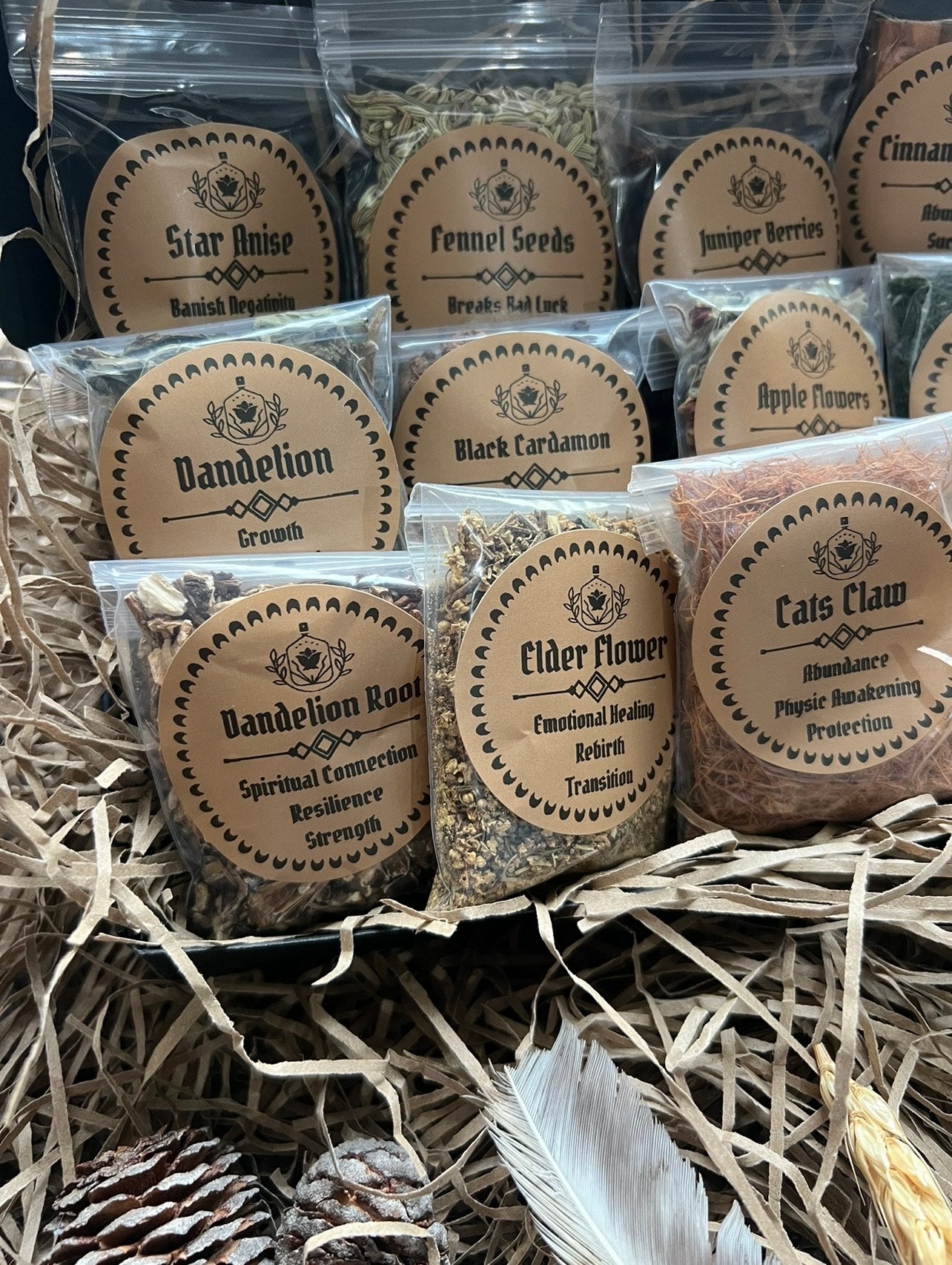 Witchcraft Herb Starter Kit 2