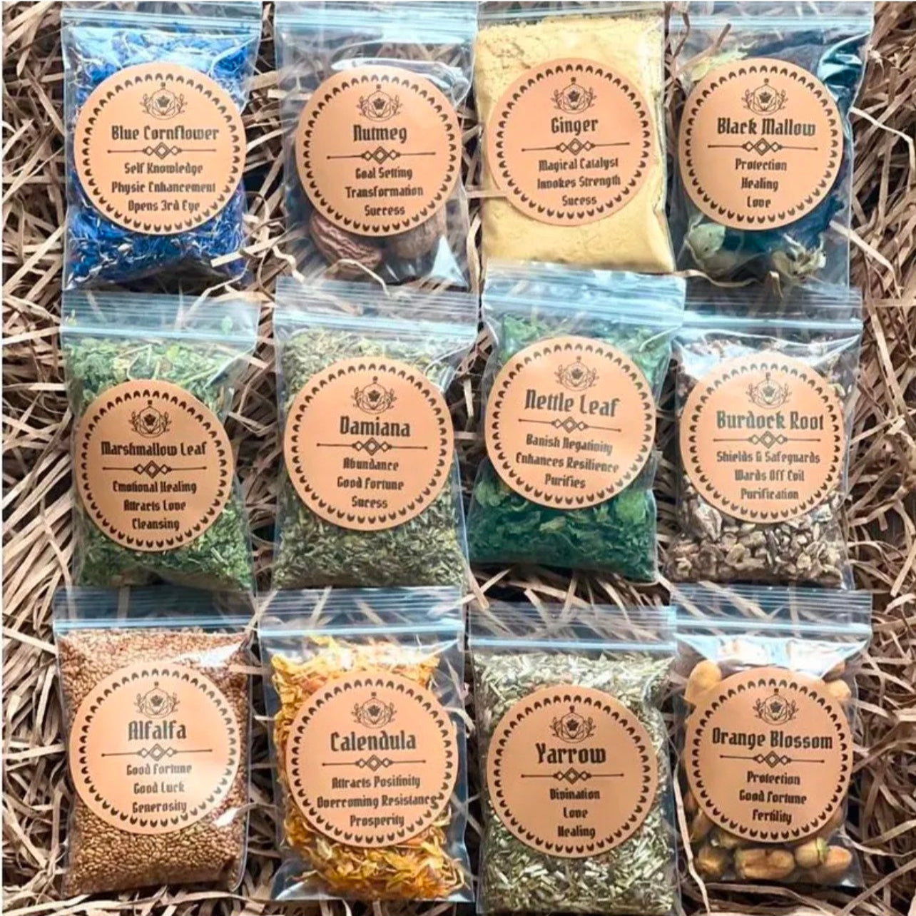 Mystery Witches Herb Starter Kit