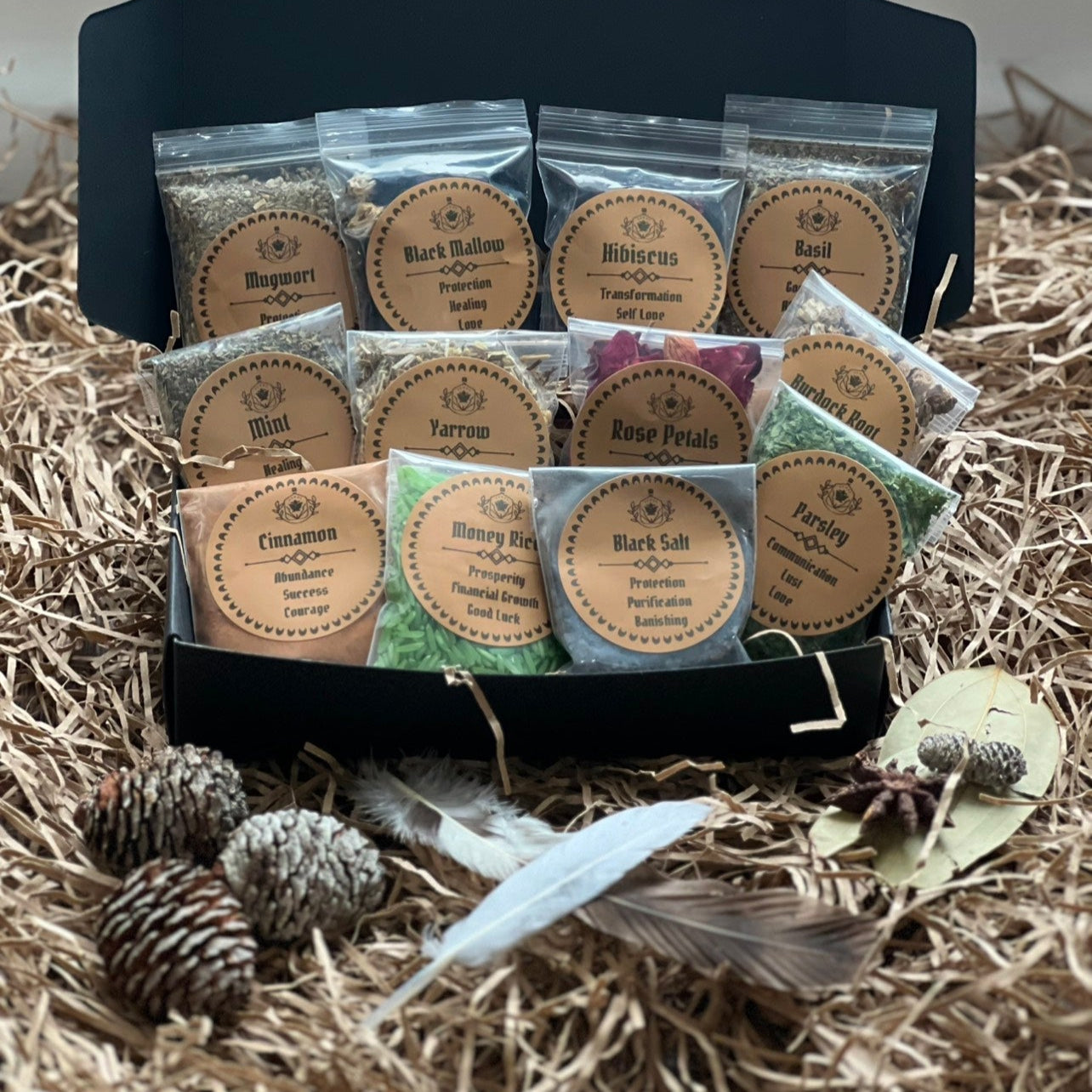 Witches Herb Starter Kit 4