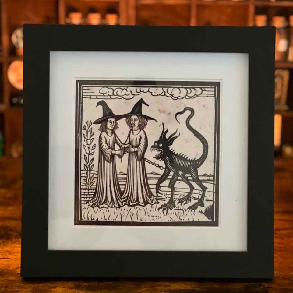 Witches And Pet Demon